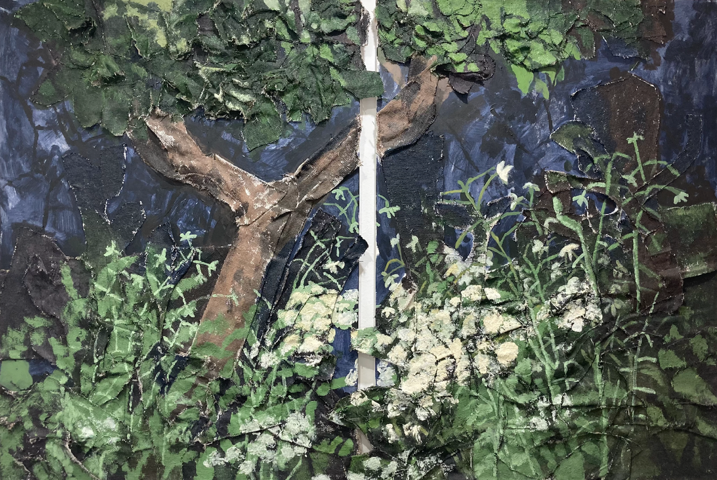 Antonia’s appricot tree