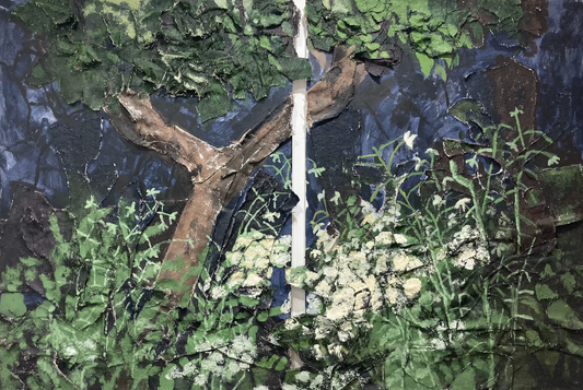 Antonia’s appricot tree